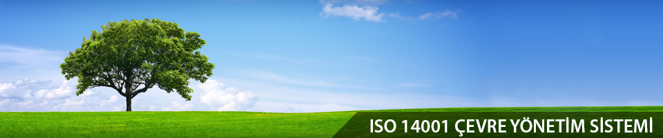 iso 14001 2015 2004 çevre belgesi yönetim sistemi danışmanlık ankara istanbul nası alınır kim verir